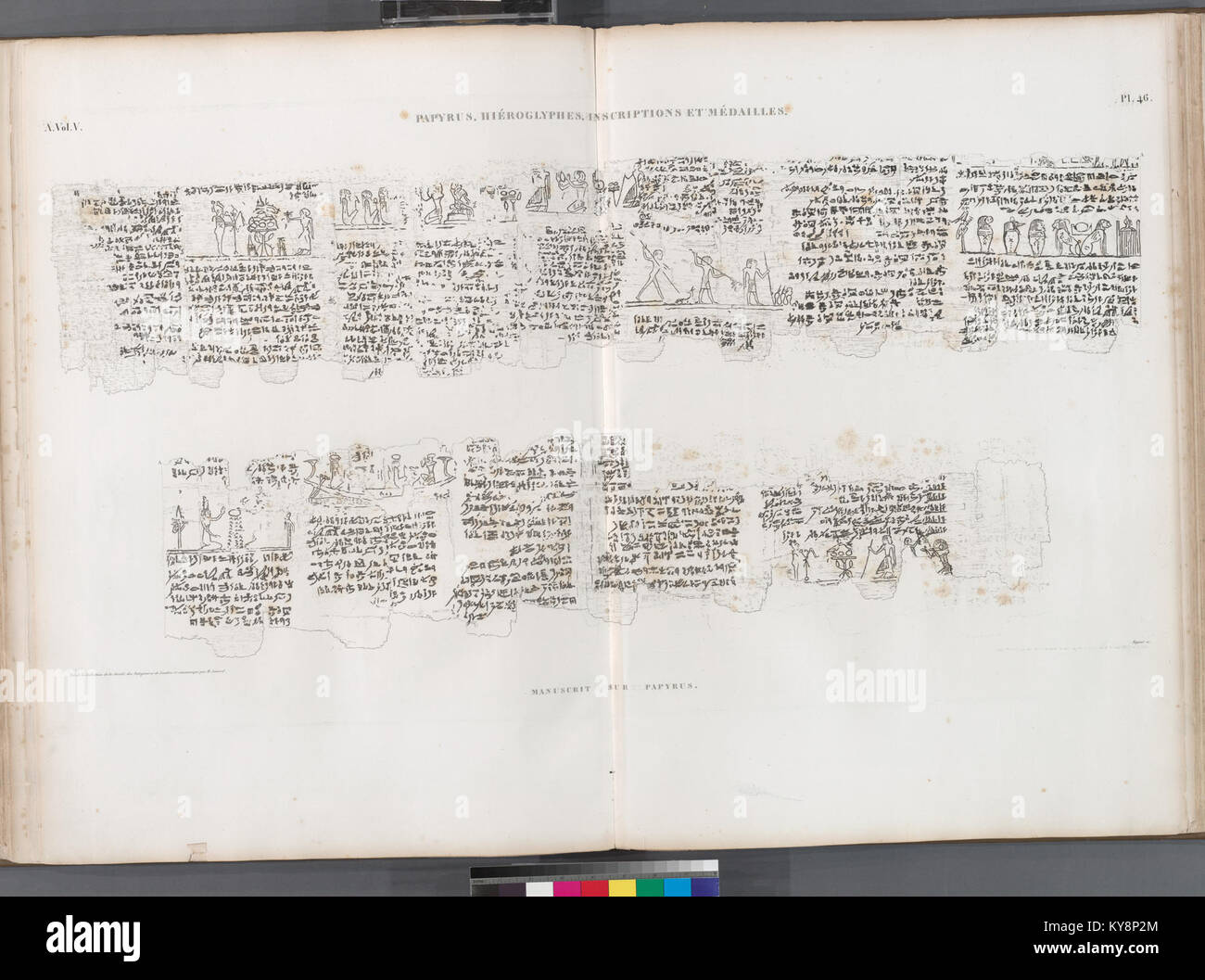 Papyrus, hiéroglyphes, inscriptions et médailles. Manuscrit sur papyrus (NYPL b14212718-1268214) Stock Photo