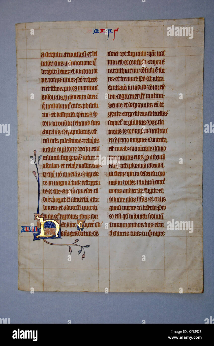 Page from a 14th Century Latin Vulgate Bible, written in England on