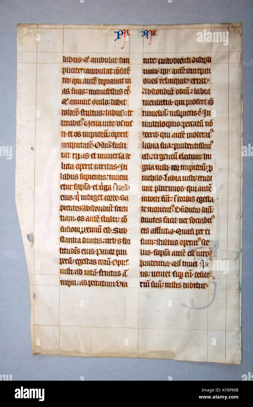 Page from a 14th Century Latin Vulgate Bible, (Book of Jeremiah) written in England on vellum. (Fragment 13) From the Reed Rare Books Collection in Dunedin, New Zealand. Stock Photo