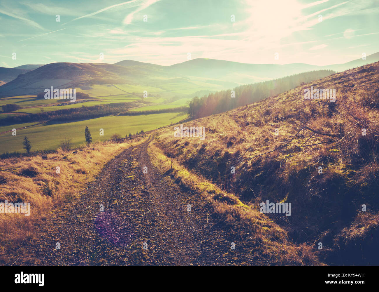 Country Track Or Trail In The Scotltish Borders On A Summer's Day At Dusk Stock Photo