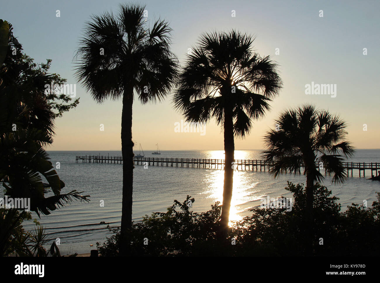 Silhouettes of palm trees and fishing pier at sunset, Charlotte Harbor Florida, Stock Photo
