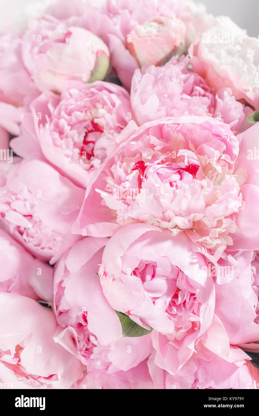 Elegant bouquet of a lot of peonies of pink color close up. Beautiful ...