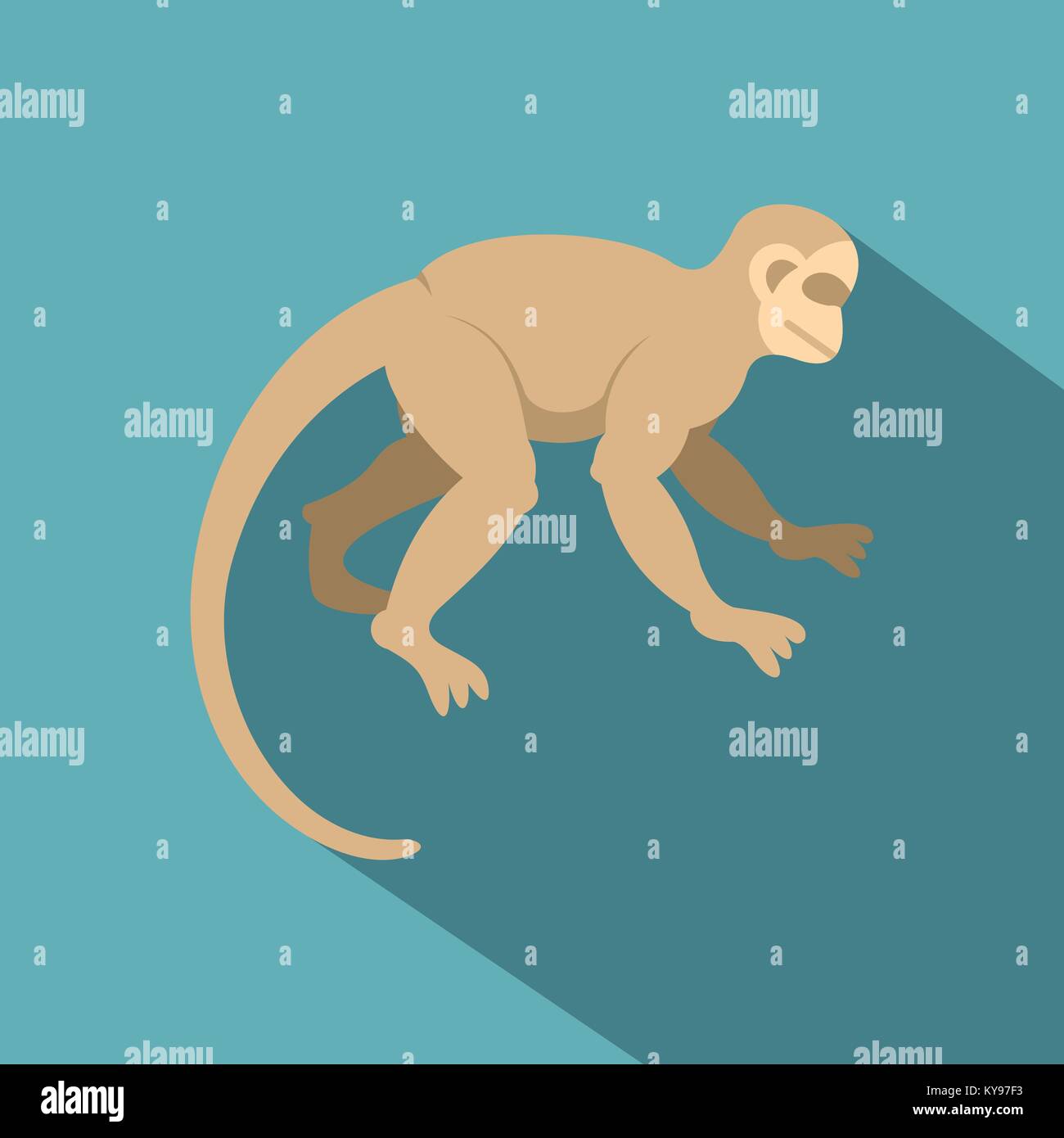 White capuchin icon. Flat illustration of white capuchin vector icon ...