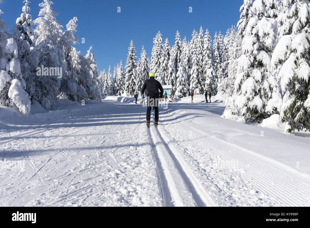 Winter road in mountains. Skier on groomed ski trails for cross-country. Trees covered with fresh snow in sunny day in Karkonosze, Giant Mountains Stock Photo