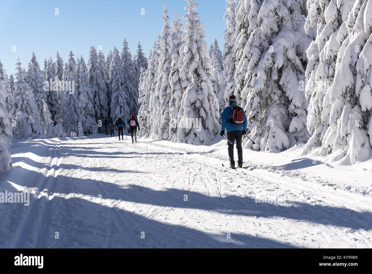 Winter road in mountains. Skier on groomed ski trails for cross-country. Trees covered with fresh snow in sunny day in Giant Mountains, Poland Stock Photo