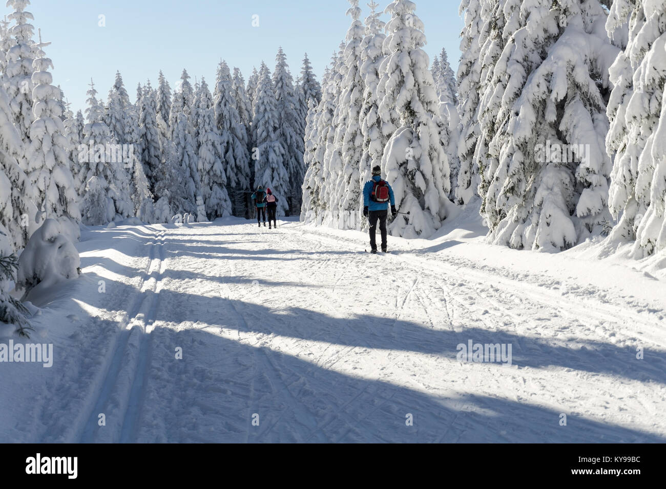 Winter road in mountains. Trees covered with fresh snow in sunny day. Groomed ski trails for cross-country in Karkonosze, Giant Mountains, Poland. Stock Photo