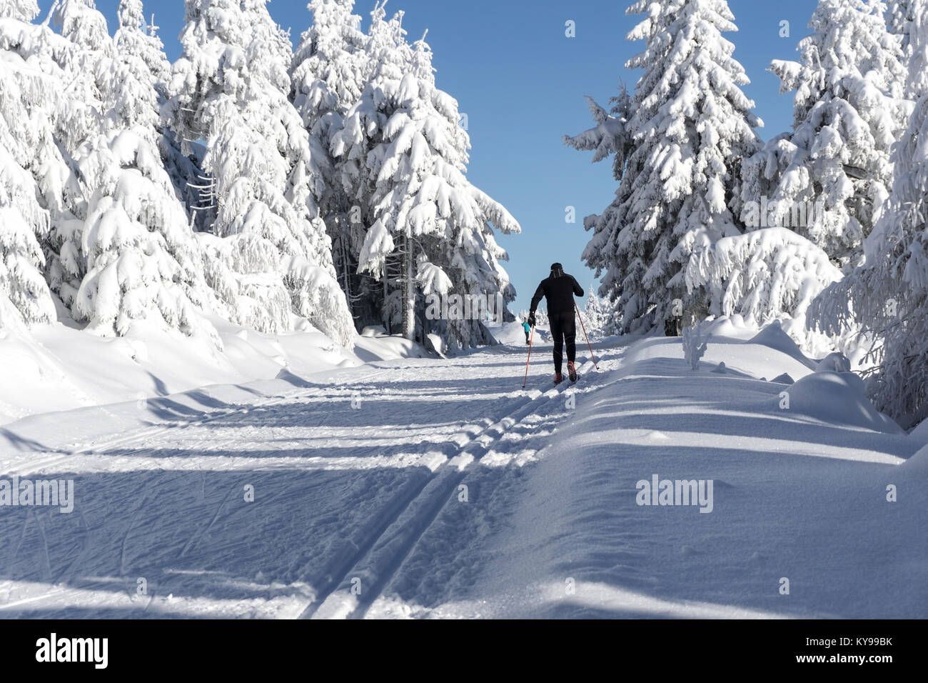 Winter road in mountains. Male skier on groomed ski trails for cross-country. Trees covered with fresh snow in sunny day in Karkonosze, Giant Mountain Stock Photo