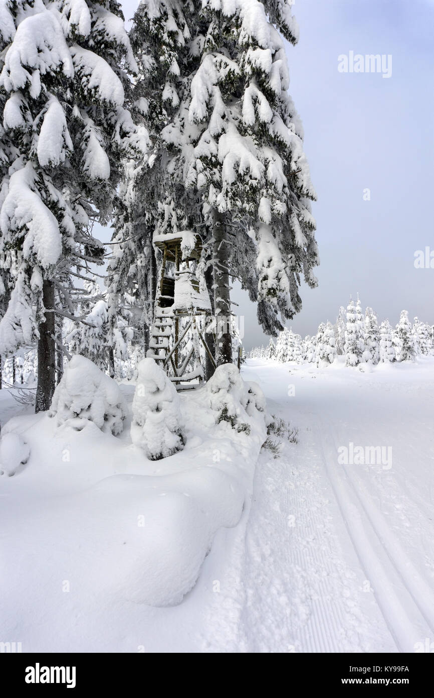Deer stand - tree stand - lookout tower in mountains. Trees covered with fresh snow. Groomed ski trails for cross-country. Winter mountain landscape. Stock Photo