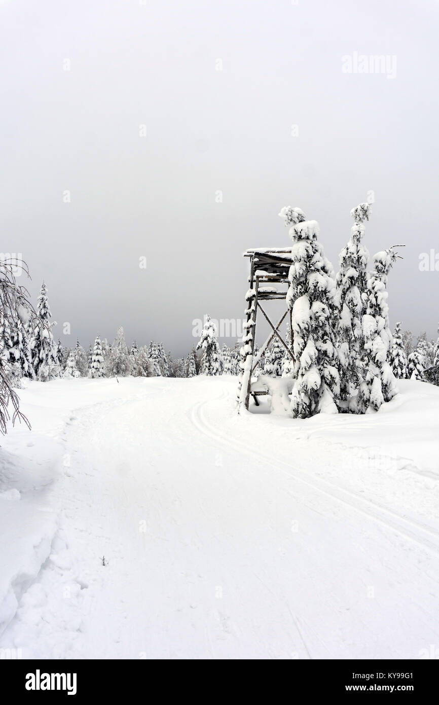 Deer stand - tree stand - lookout tower in mountains. Trees covered with fresh snow. Groomed ski trails for cross-country. Winter mountain landscape. Stock Photo
