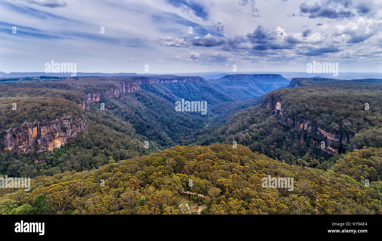 Flat mountain tops in MOrton naitonal park from FIrztory falls to twin falls in elevated scenic view overlooking Yarrunga creek covered by ever-green  Stock Photo