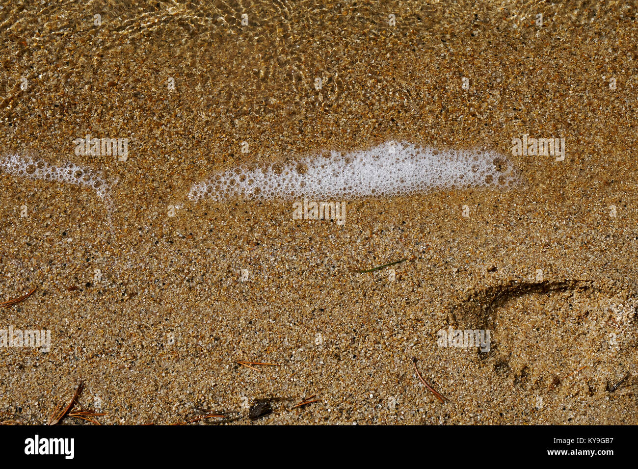 partial footstep in the wet sand with small bubbles Stock Photo
