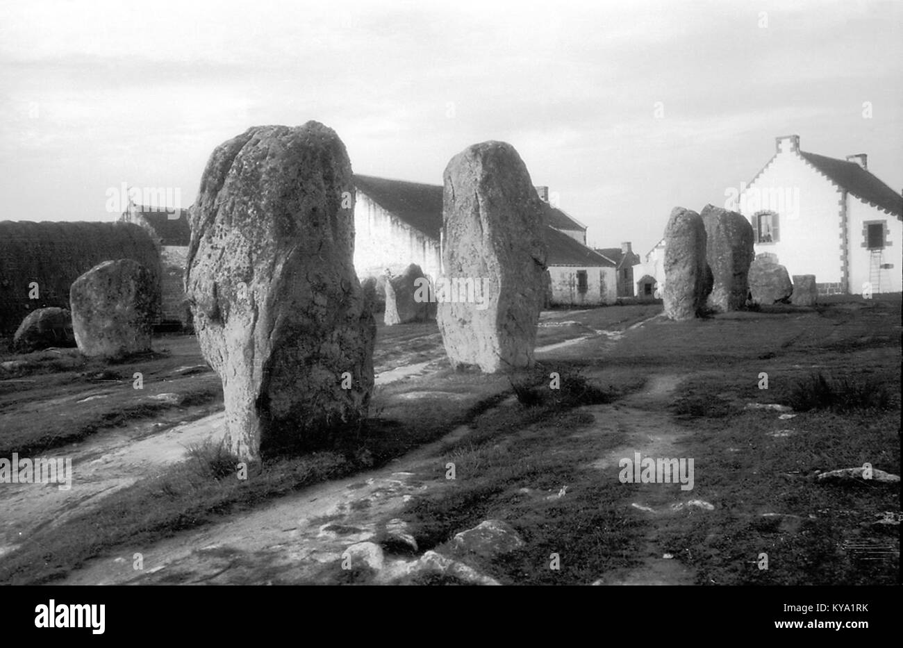 Standing stones at Ménec, Carnac, France (8187807510) Stock Photo
