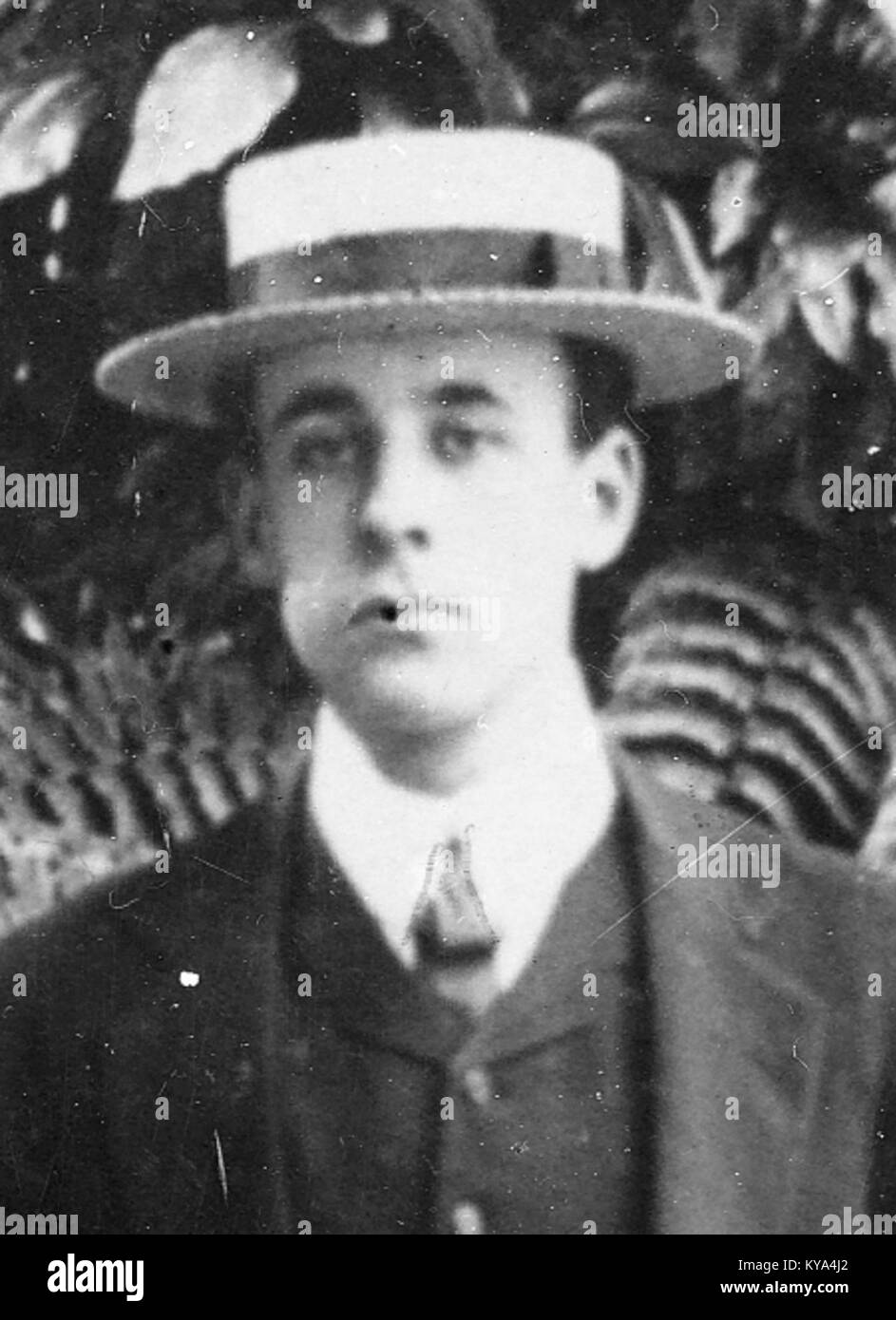 Vincent Ward, 1905 Stock Photo Alamy