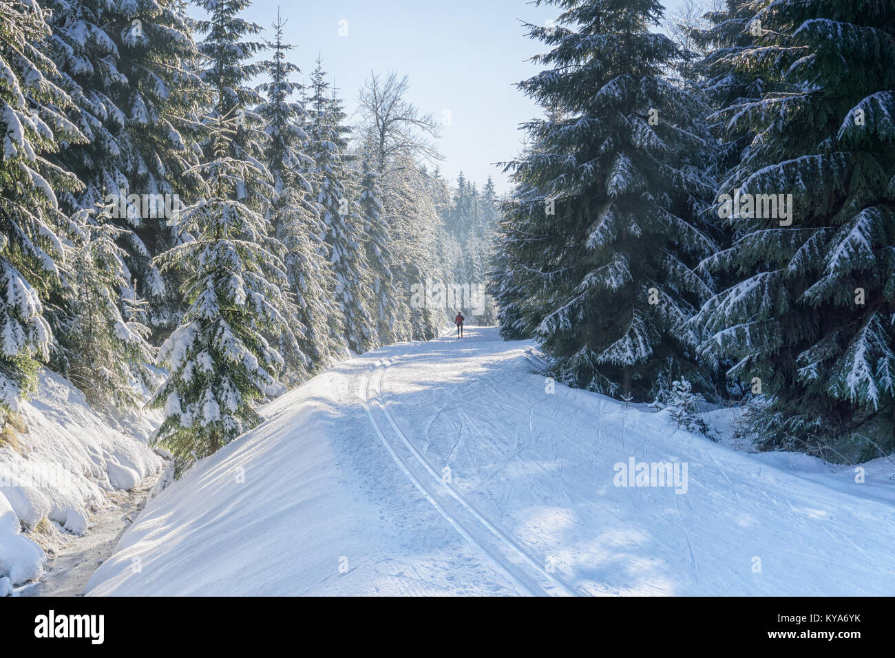 Road in mountains with groomed ski trail at winter in sunny day. Trees covered with hoarfrost and fresh snow illuminated by the sun. Jizera Mountains, Stock Photo