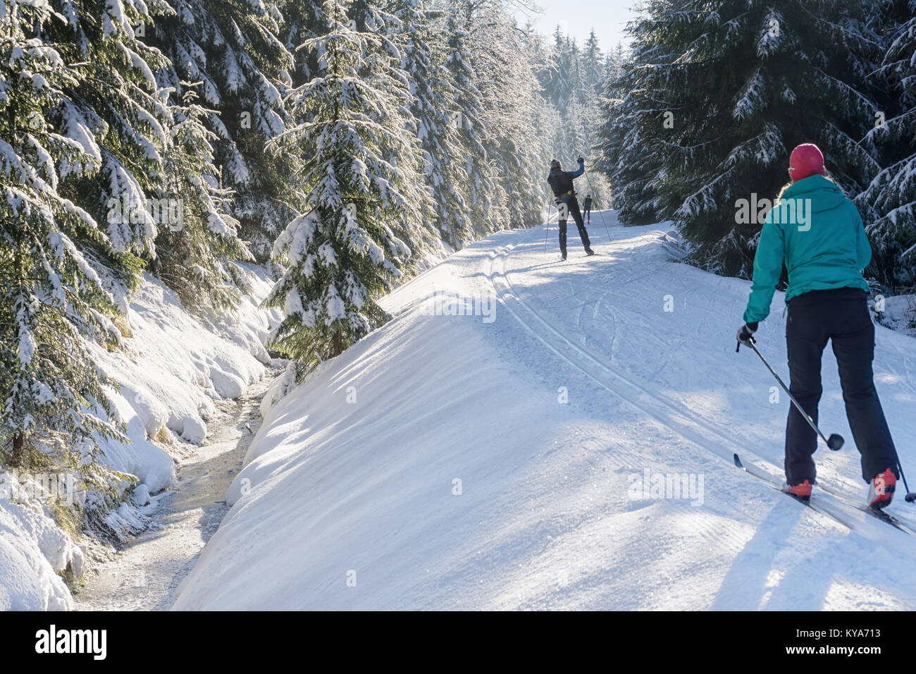 Cross-country skiers runs along a groomed ski trail. Road in mountains at winter sunny day. Trees covered with hoarfrost. Jizera Mountains, Czechia. Stock Photo