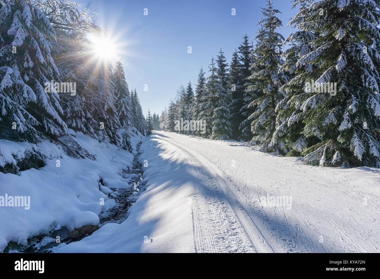Road in mountains with groomed ski trail and stream beside at winter in sunny day. Trees covered with hoarfrost and fresh snow illuminated by the sun. Stock Photo