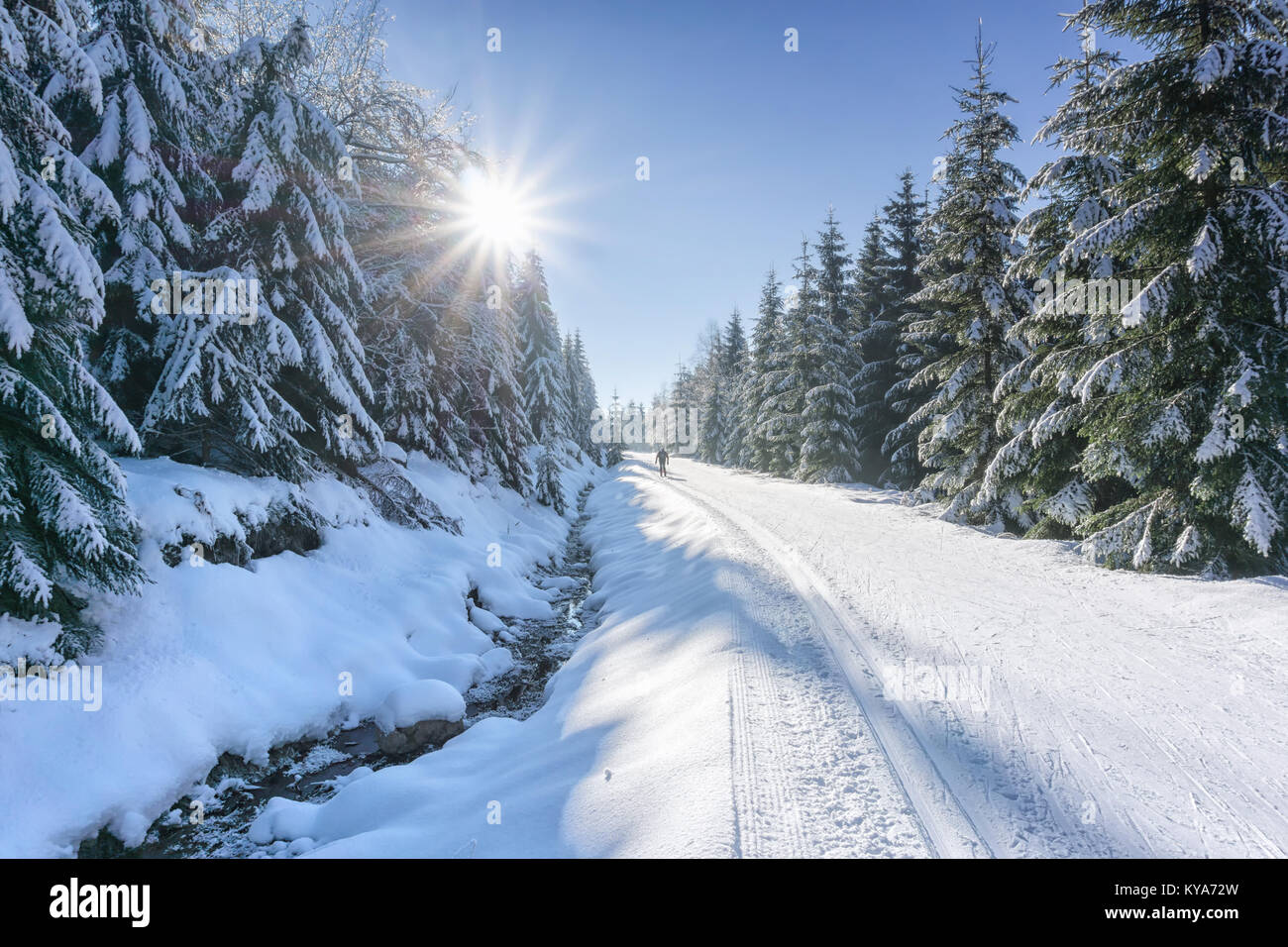 Road in mountains with groomed ski trail and stream beside at winter in sunny day. Trees covered with hoarfrost and fresh snow illuminated by the sun. Stock Photo
