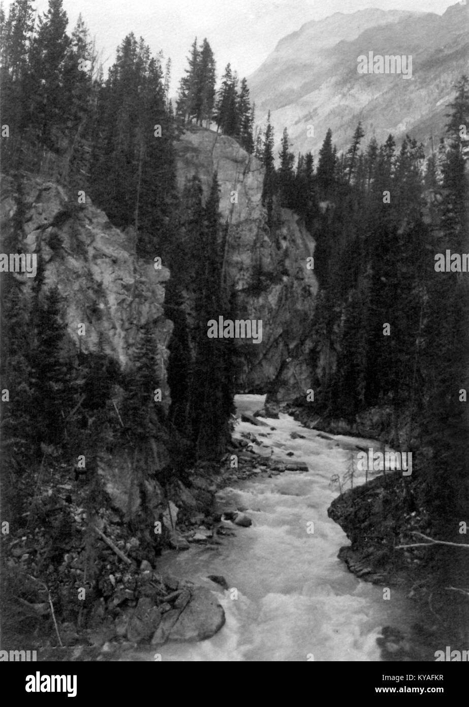 Moose Canyon is a geographical feature in North America, notable for ...