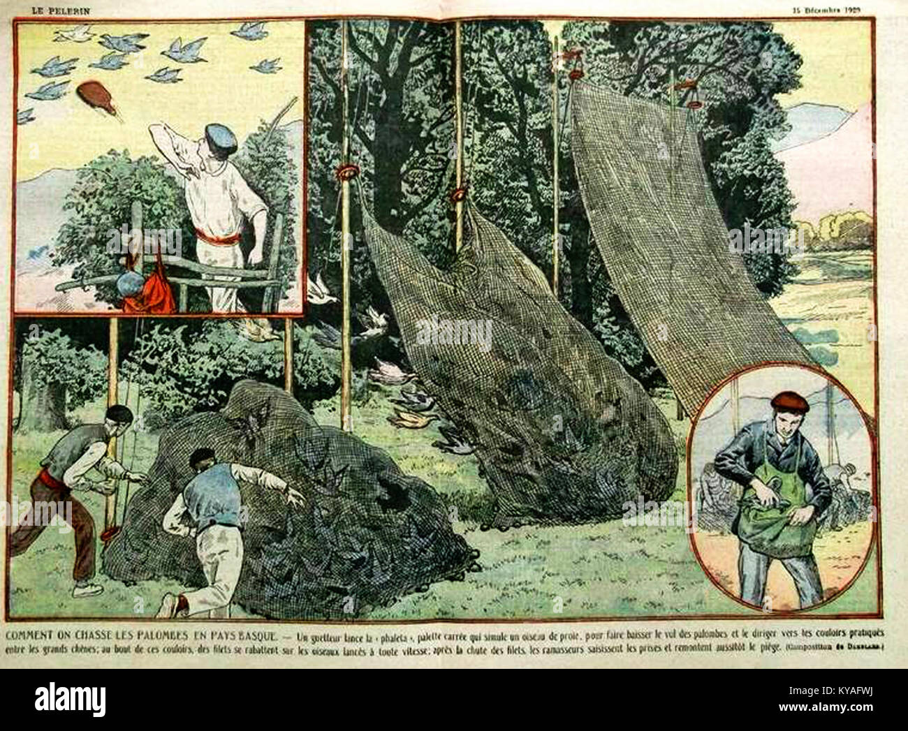 Rhune Faune Chasse A La Palombe Au Pays Basque Le Pelerin 15 Decembre 1929 Stock Photo Alamy