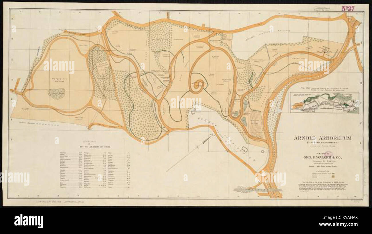 A detailed map of the Arnold Arboretum displays the distribution of ...