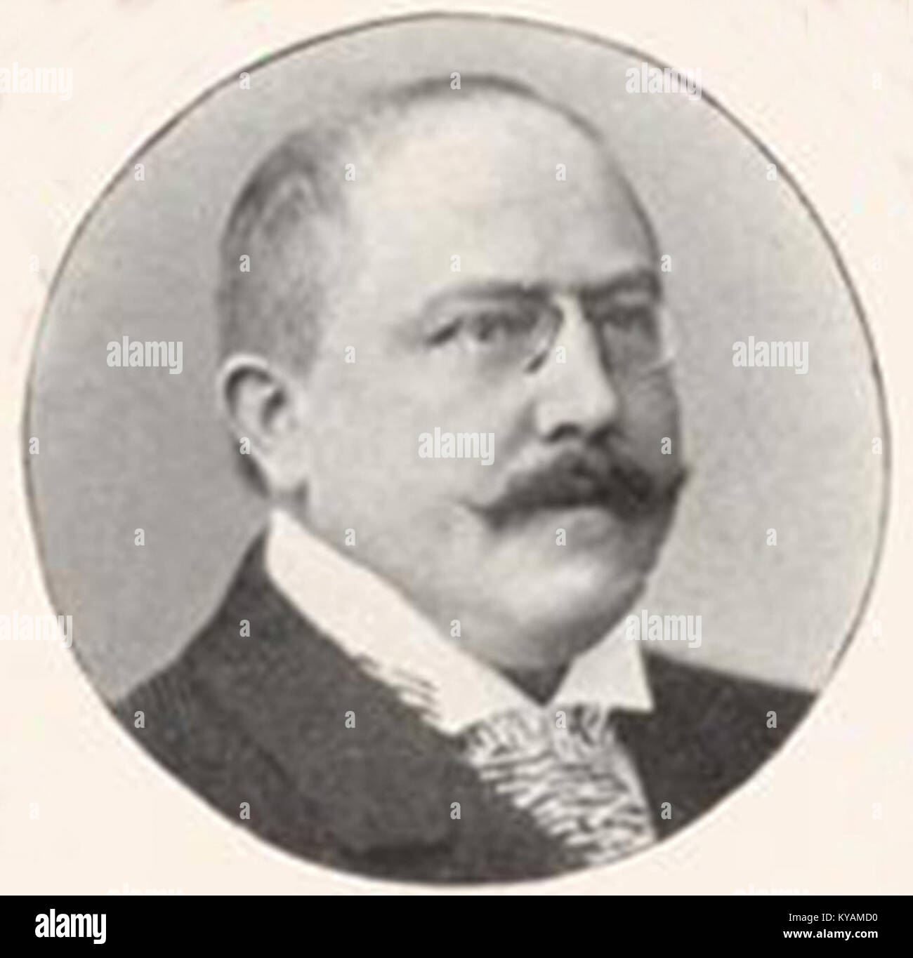 Wilhelm Lohe, Mitglied des Vorstandes der Kunststellung im Kunstpalast Düsseldorf, 1904 Stock Photo