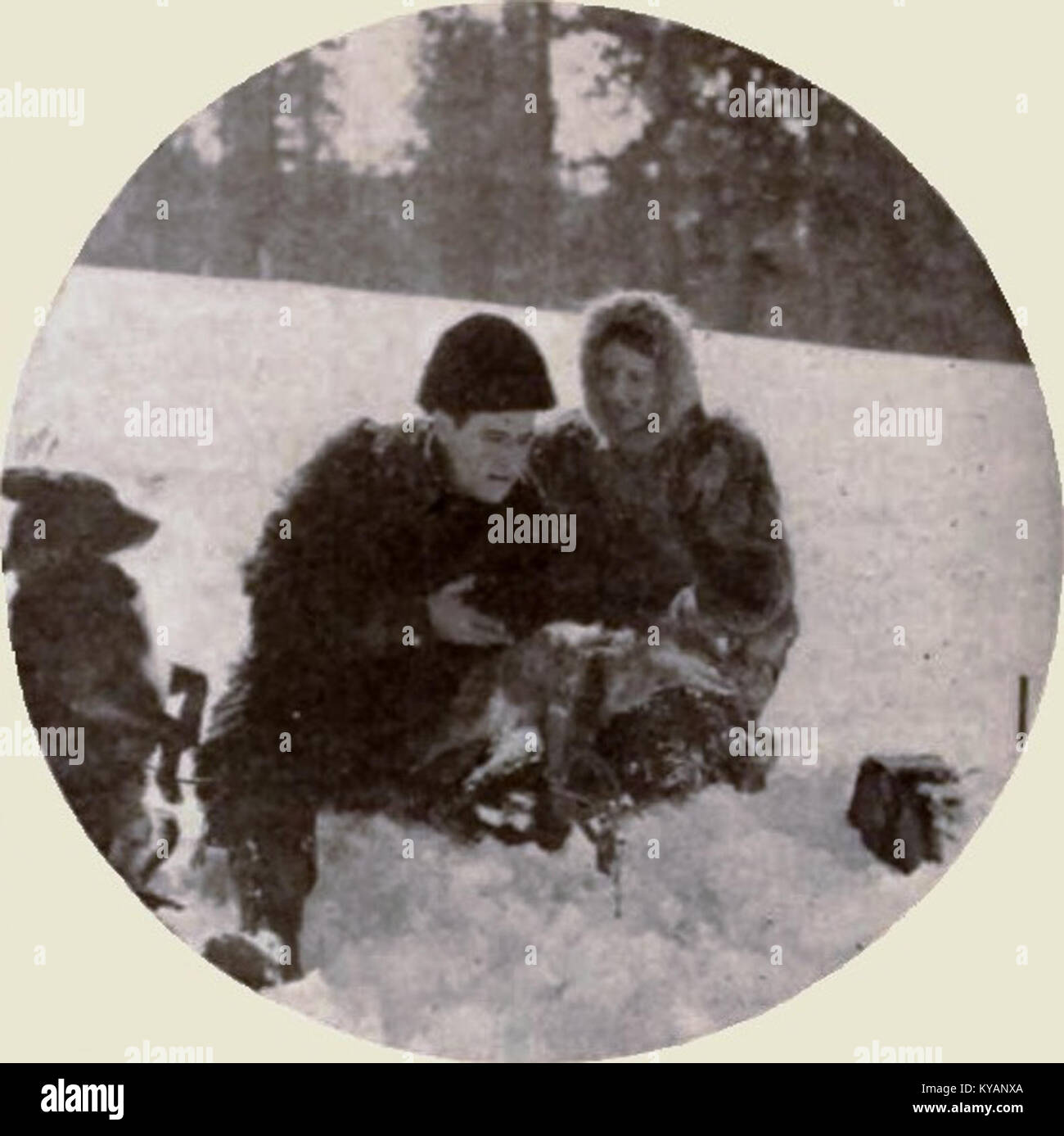 'The Blue Fox' (1921) is a silent film set in a rural setting, depicting the life of a hunter and his interactions with the natural world. It explores themes of survival, nature, and the human connection to wildlife. Stock Photo