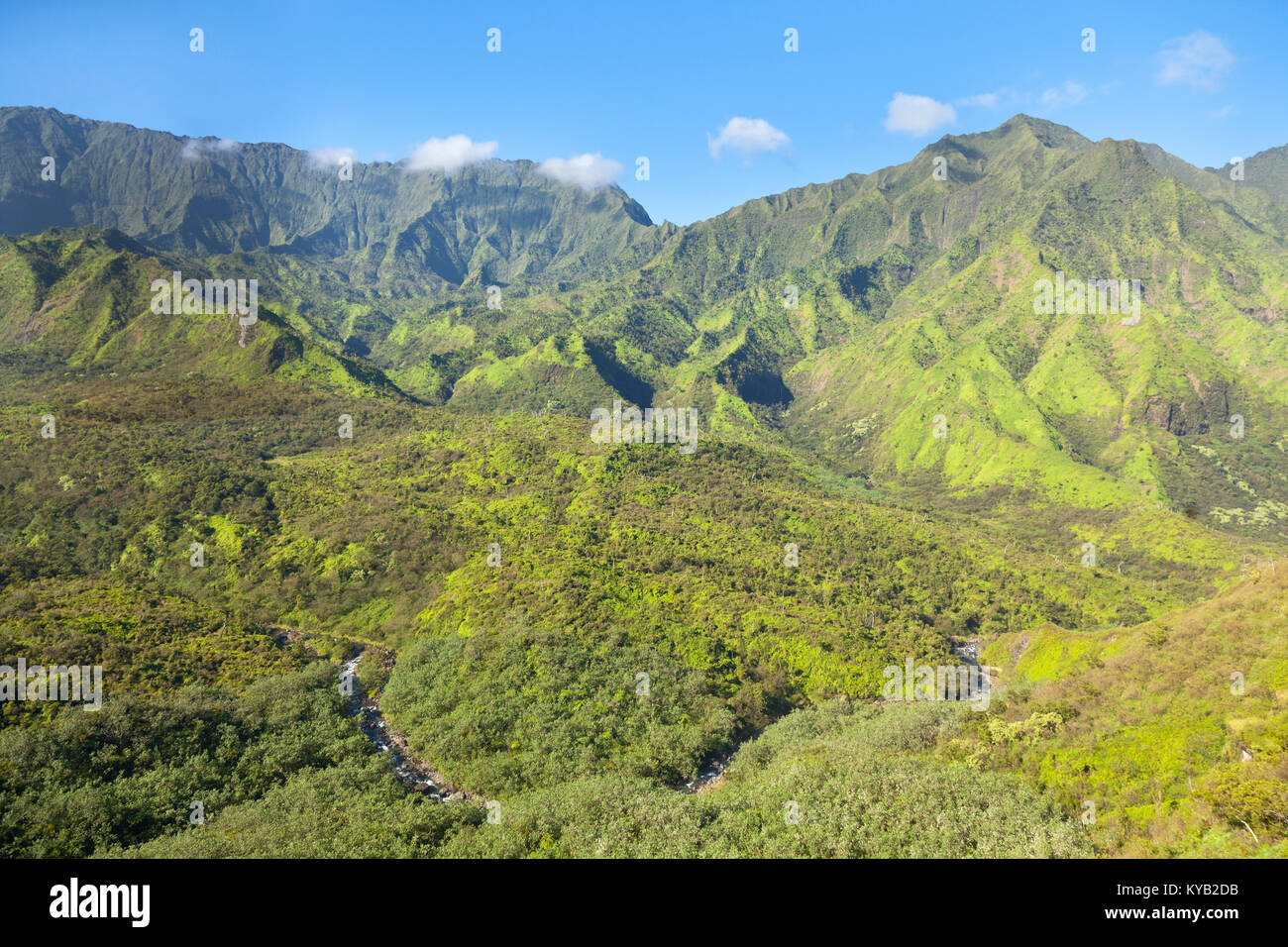 Hawaii rain forest hi-res stock photography and images - Alamy