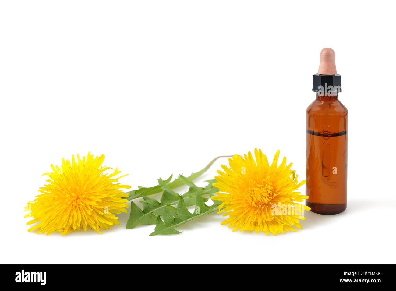 dandelion flowers and bottle with essence isolated on white background
