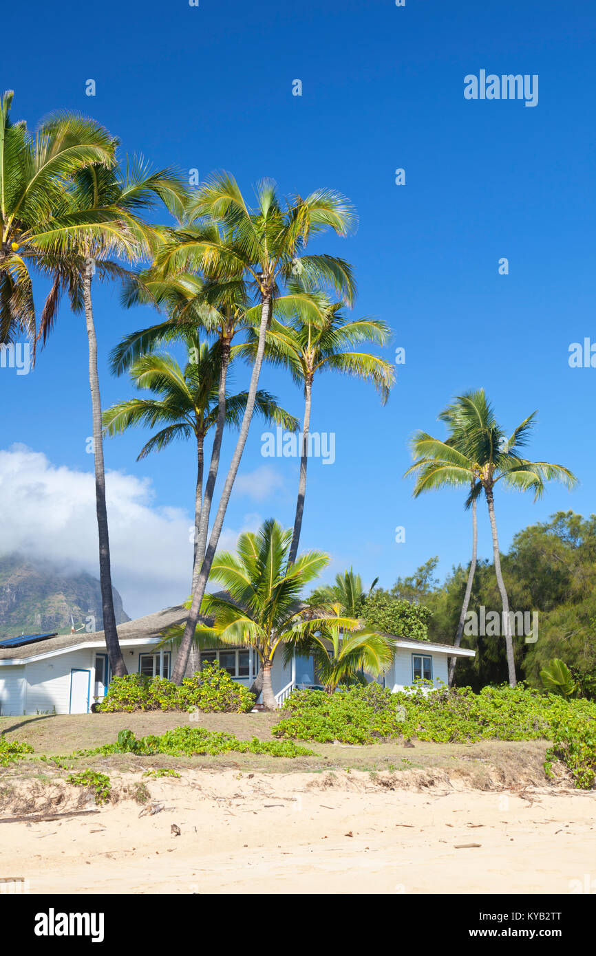 House under palm trees at Mahaulepu Beach in Kauai, Hawaii. Stock Photo