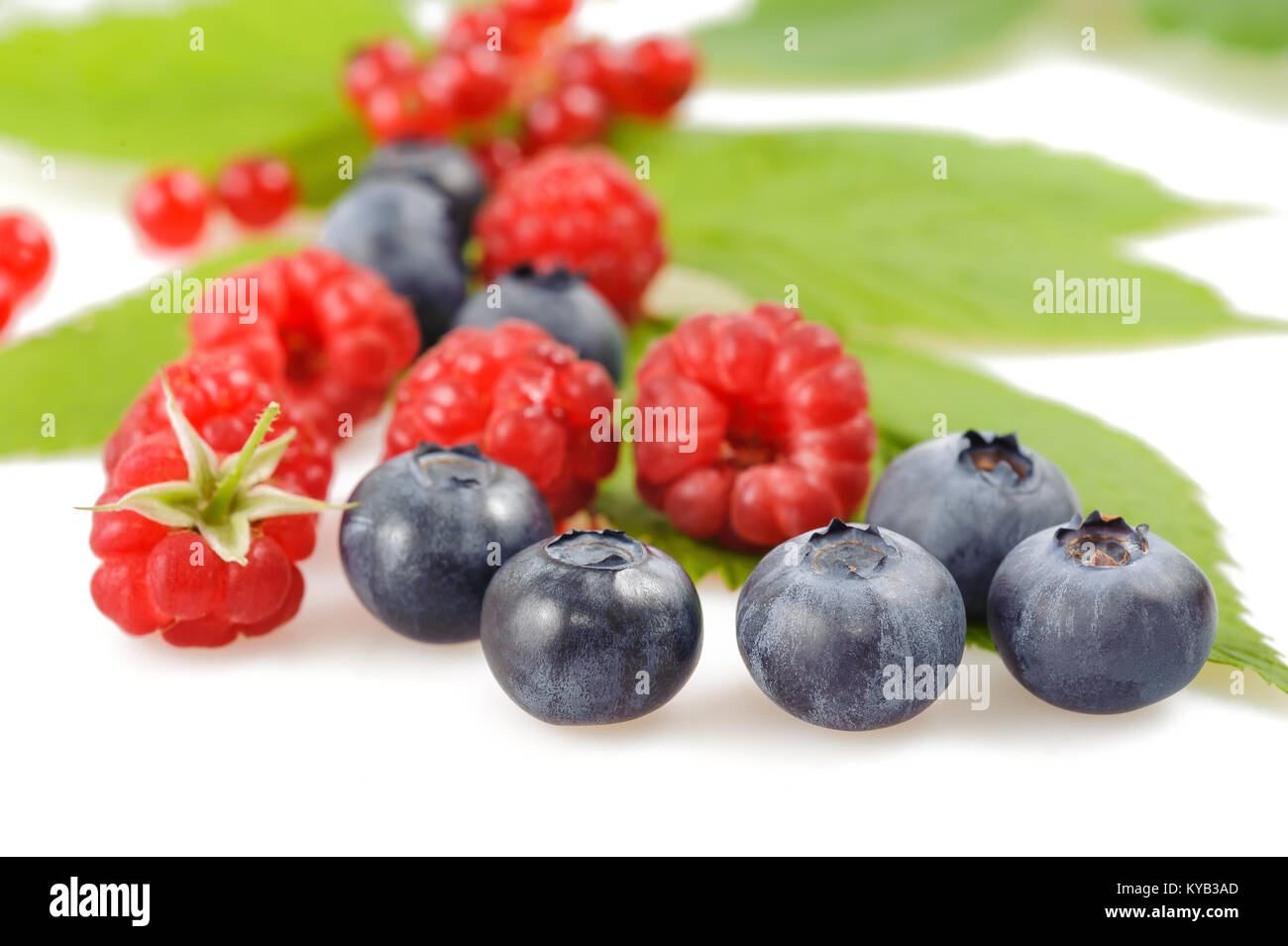 blueberries and raspberries on white background Stock Photo