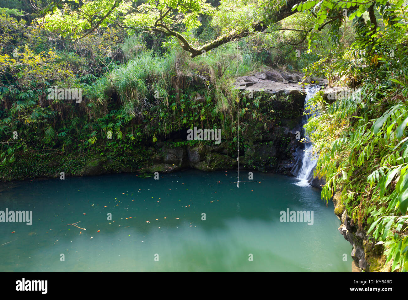 A little waterfall and lake with a swining rope on the Road to Hana in