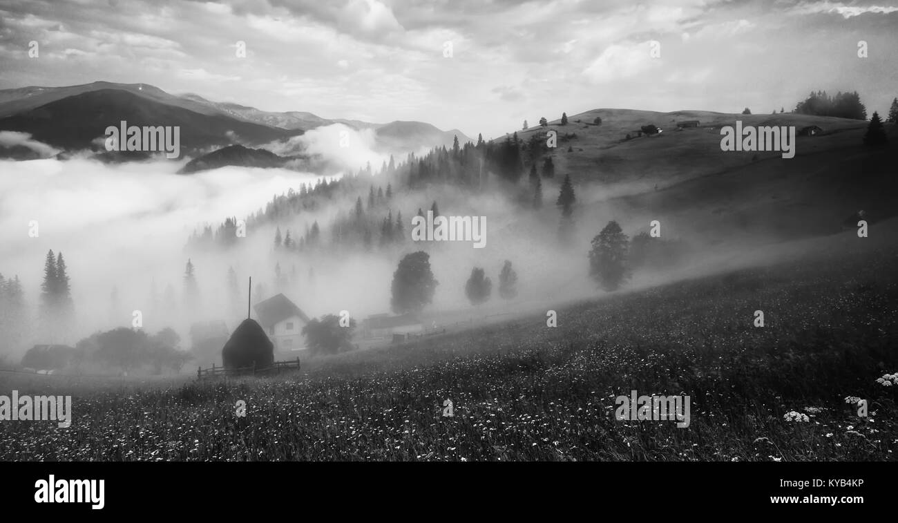 Foggy morning landscape Stock Photo Alamy