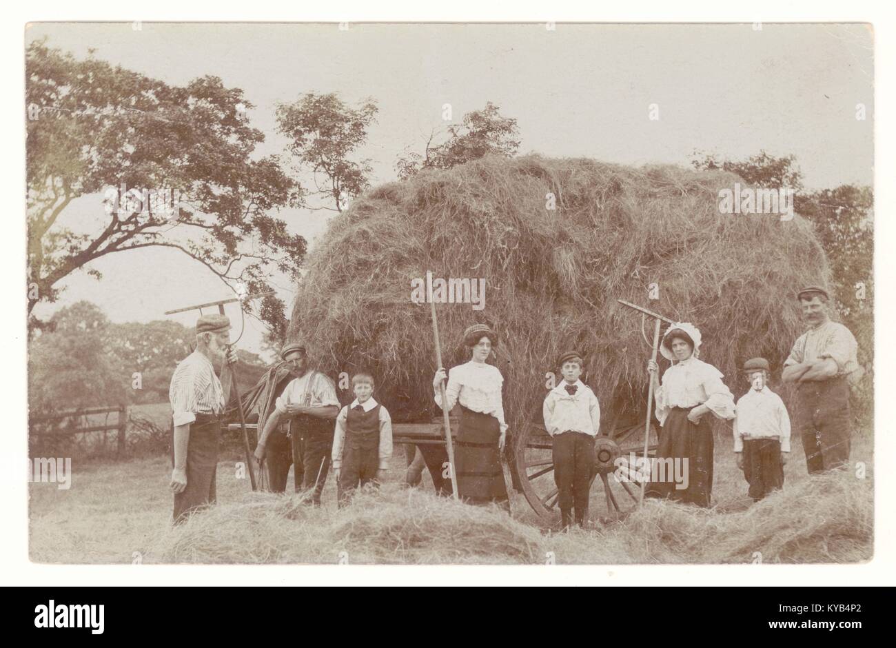 Edwardian postcard of family hay making scene, peaceful countryside,   on a farm at Livesey, near Blackburn, Lancashire, England, U.K. posted August 1906 Stock Photo