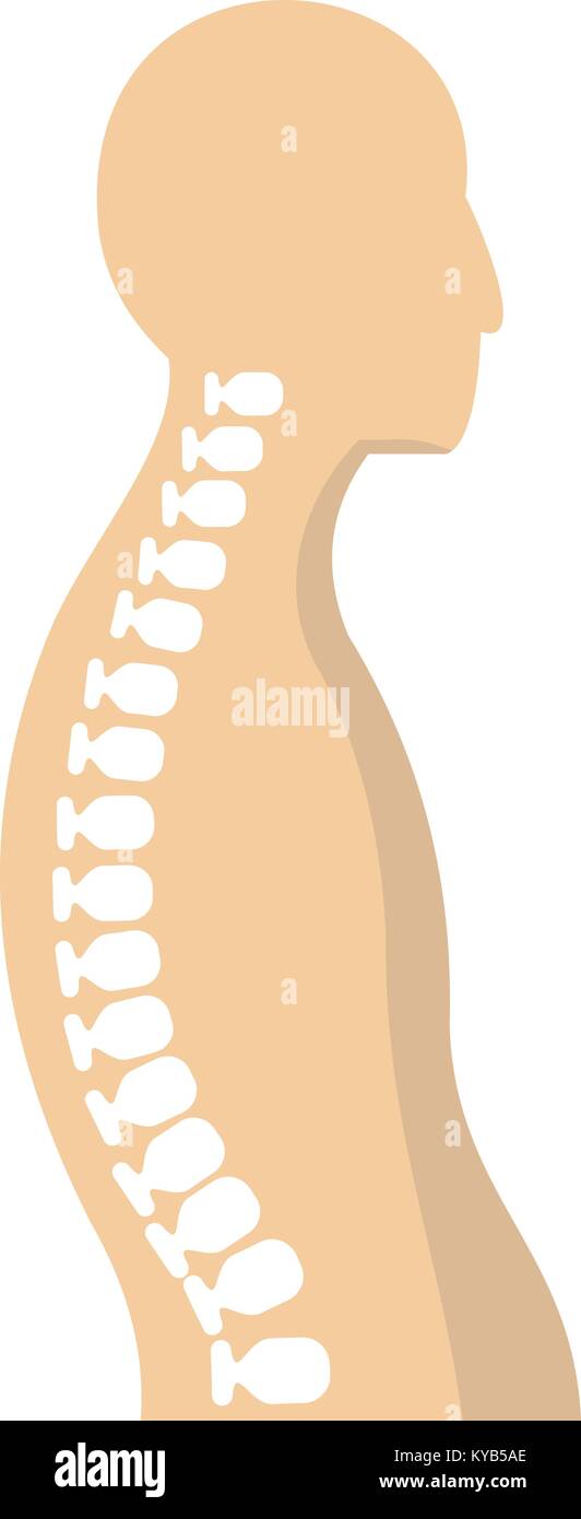 Human spine icon isolated Stock Vector Image & Art - Alamy