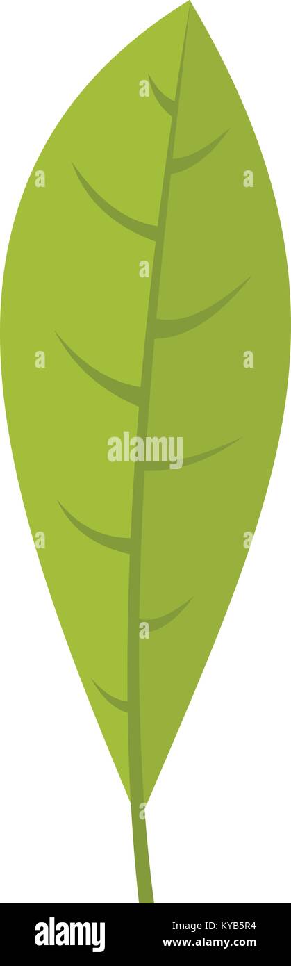 Green leaf icon isolated Stock Vector Image & Art - Alamy