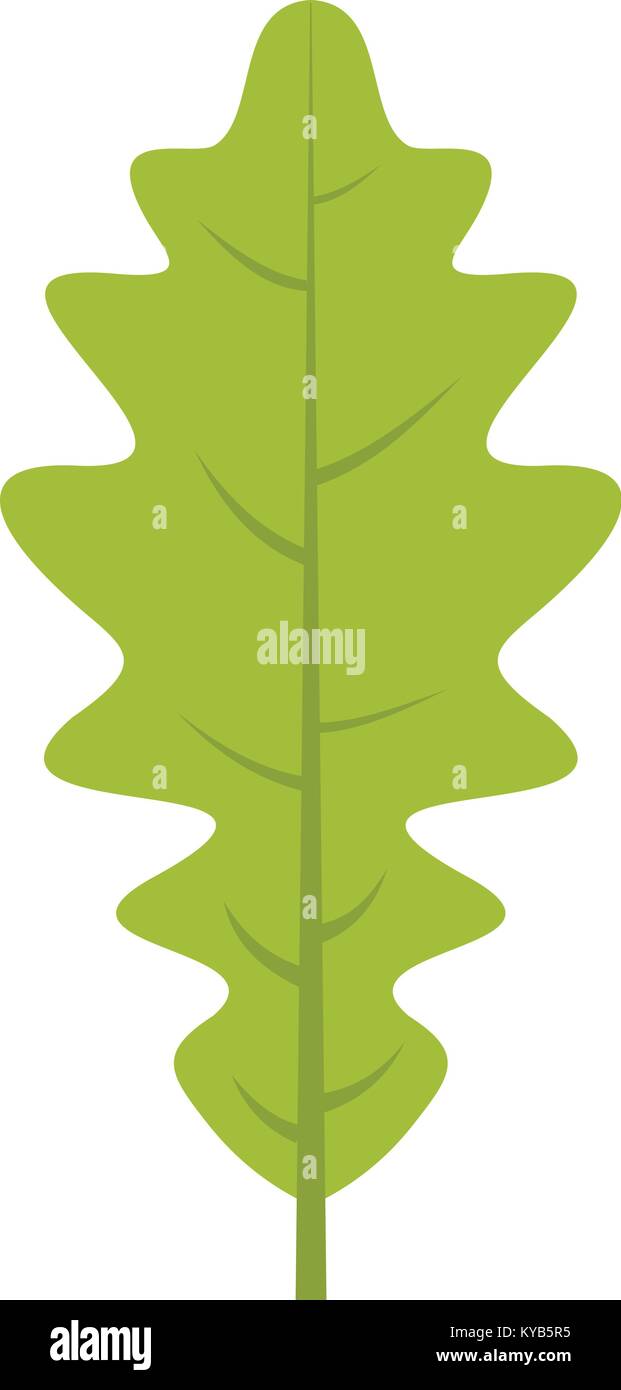 Green oak leaf icon isolated Stock Vector Image & Art - Alamy