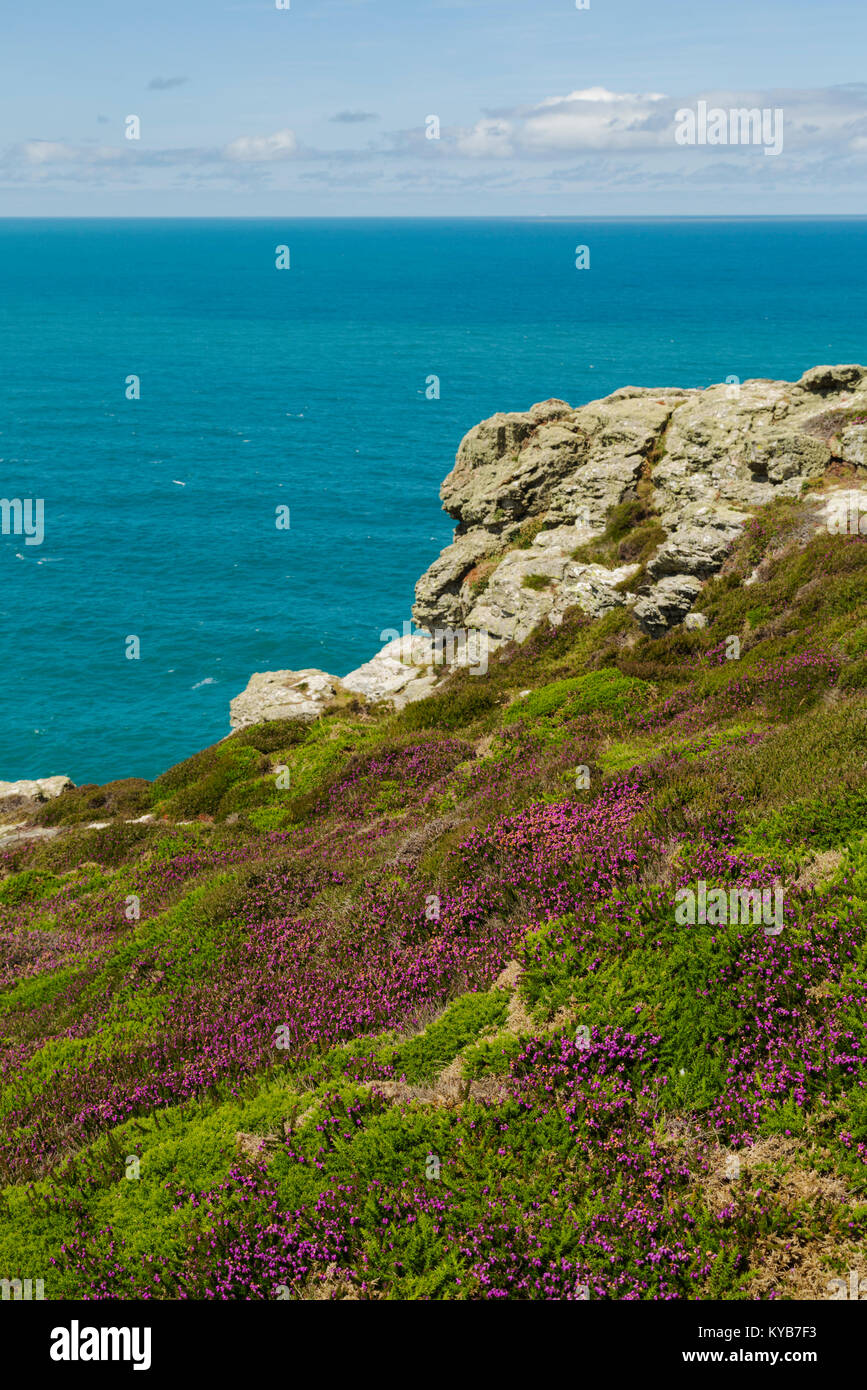 St agnes head north cornwall hires stock photography and images Alamy