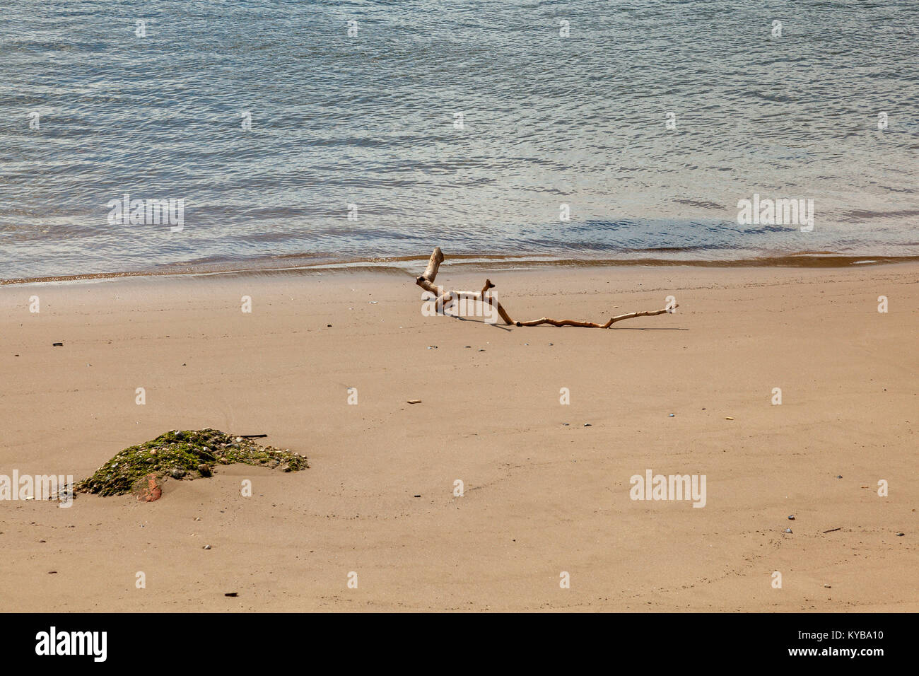 Driftwood makes interesting patterns on the sand at North Shields beach, Tyne and Wear, UK Stock Photo