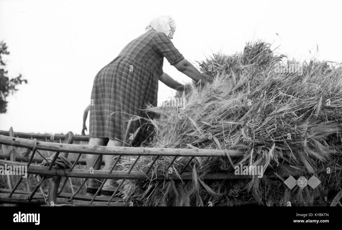 1964 photograph shows loading hi-res stock photography and images - Alamy