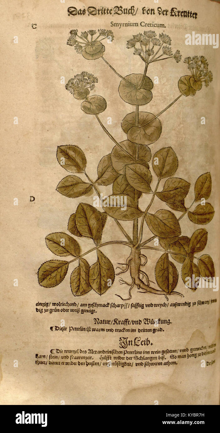 New Kreterbuch is a German botanical reference focusing on plant ...