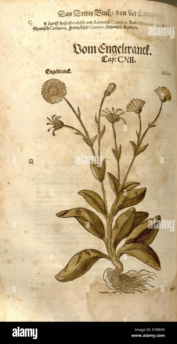 The 'New Kreterbuch' is an important historical text, contributing to ...