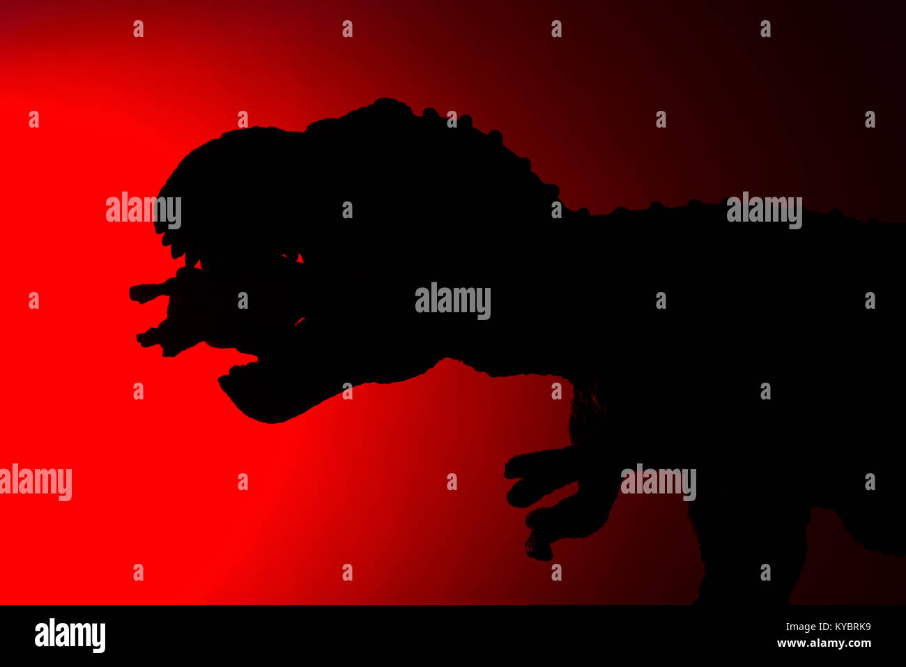 shadow of tyrannosaurus biting a smaller dinosaur with red light in ...