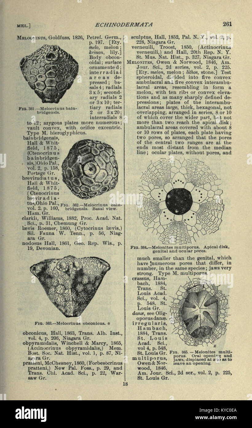 Remains Notes A page from 'North American Geology and Palæontology' providing ...