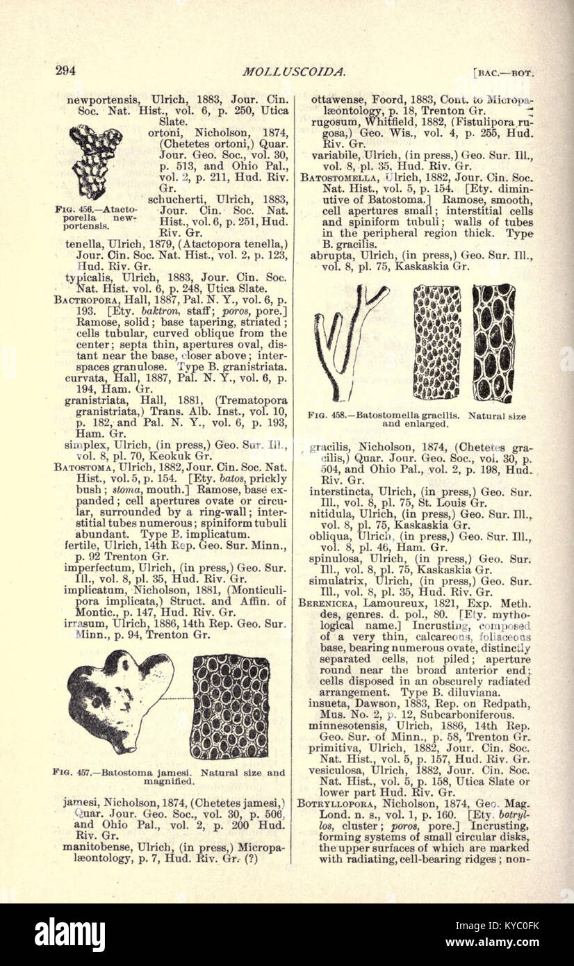 Lewis Documenting Rocks A page from a comprehensive guidebook documenting North American ...