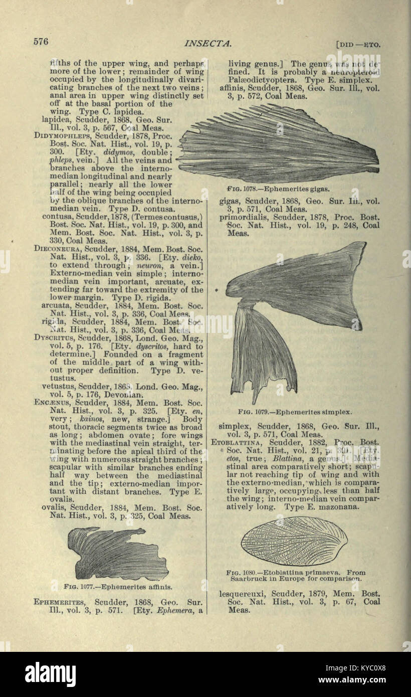 A section of text explaining North American fossils and geological ...