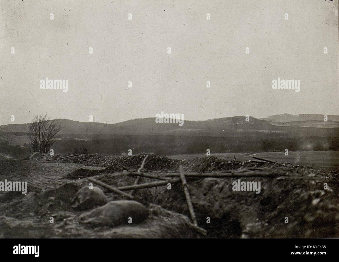 Front line photo first world war hi-res stock photography and images ...