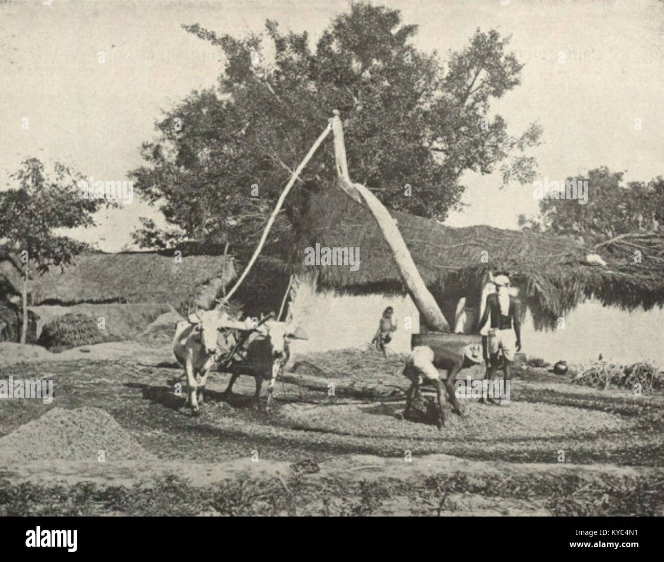 Oldfashioned Indian Sugar=cane Press Stock Photo Alamy