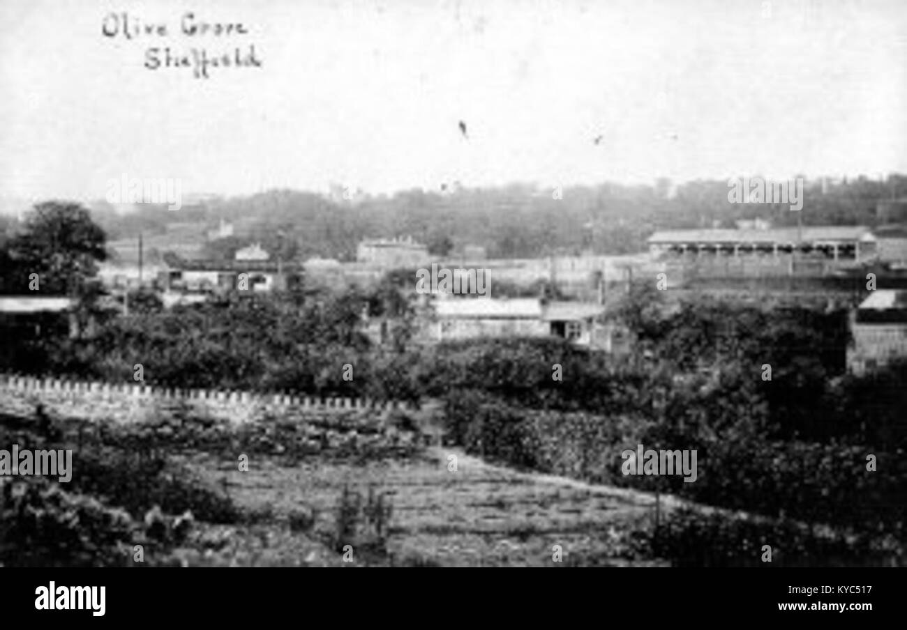 Olive Grove Stadium, Sheffield Stock Photo Alamy