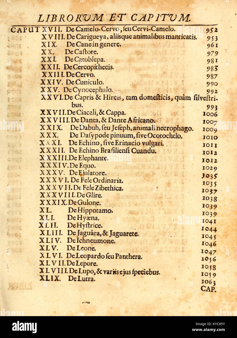 Early 17th century books hi-res stock photography and images - Alamy