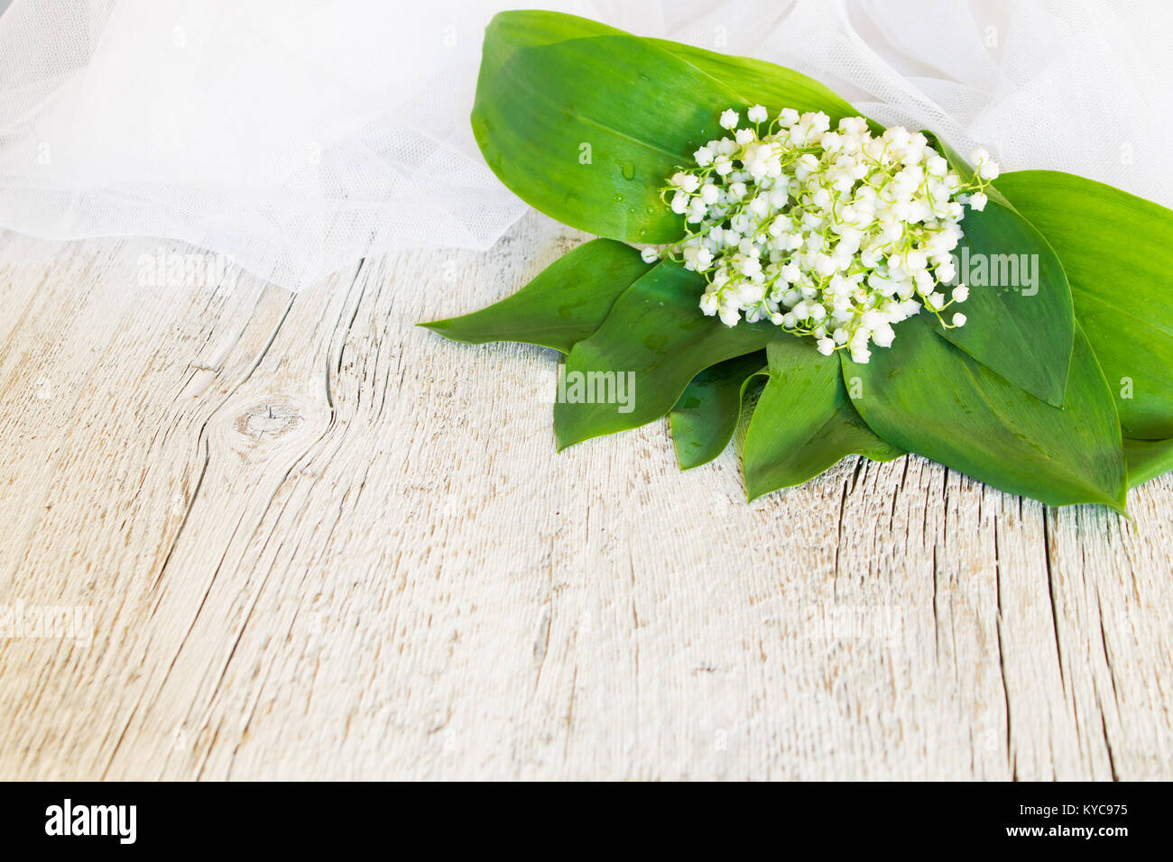 bouquet of lilies of the valley with a veil on an old white wooden ...